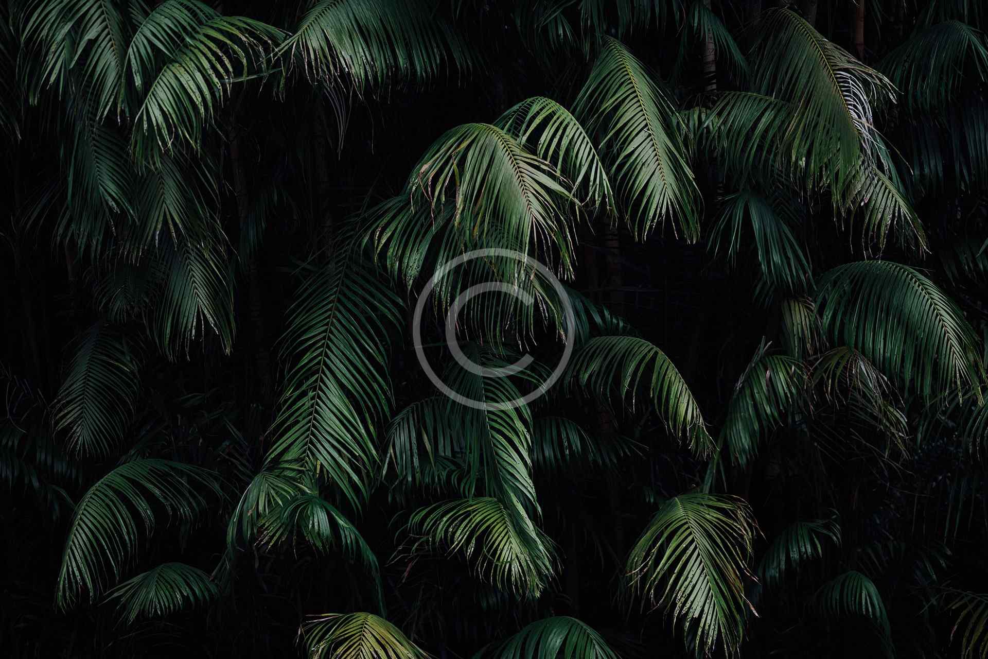 Σχεδίαση Εξατομικευμένων Λύσεων